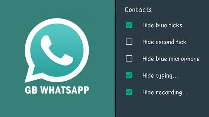 hide status & blue ticks